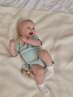 Набор боди лодочек с коротким рукавом, Звездочки, зеленый