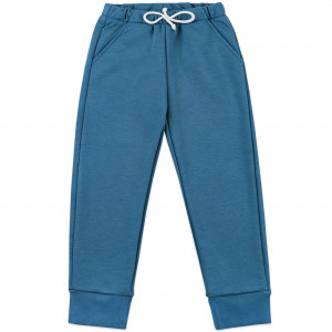 Штаны спортивные, голубые