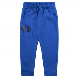 Детские штаны утепленные с начесом, синие, Just chilling