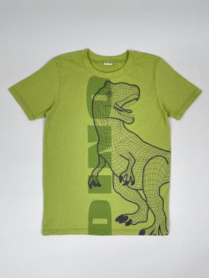 Футболка детская с коротким рукавом для мальчика T-Rex, хаки