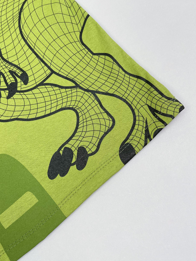 Футболка детская с коротким рукавом для мальчика T-Rex, хаки