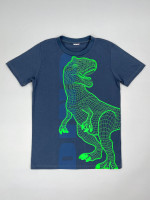 Футболка детская с коротким рукавом для мальчика T-Rex, серая
