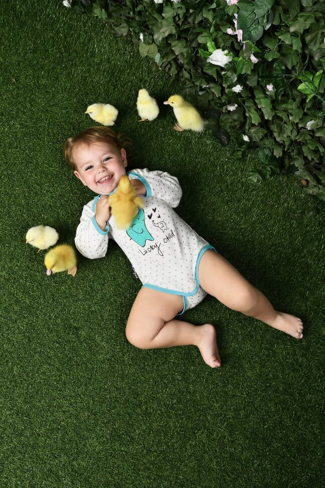 Боди с длинным рукавом, Слоны, коллекция Зоопарк