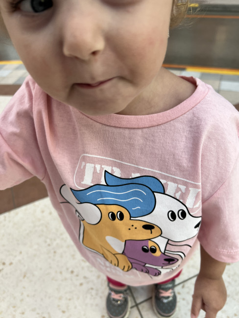 Футболка розовая, Travel