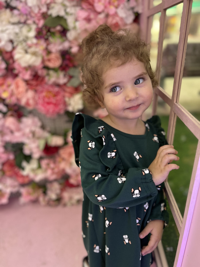 Платье с длинным рукавом, зеленое, Собачки