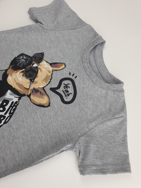 Футболка Big Bro