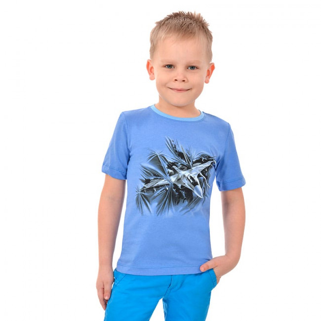 Футболка голубая, Самолет