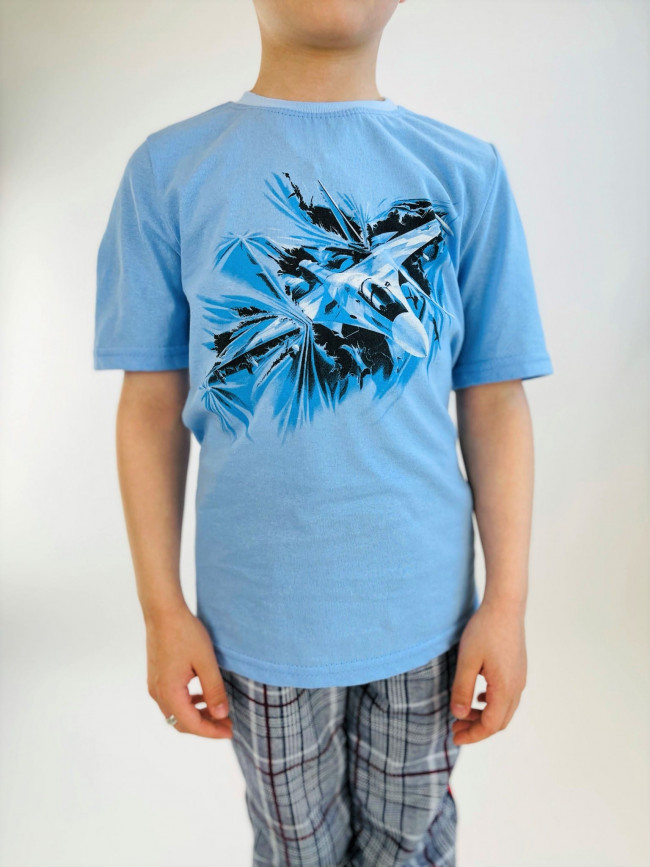 Футболка голубая, Самолет