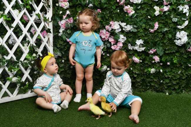 Боди с коротким рукавом, Львы, коллекция Зоопарк