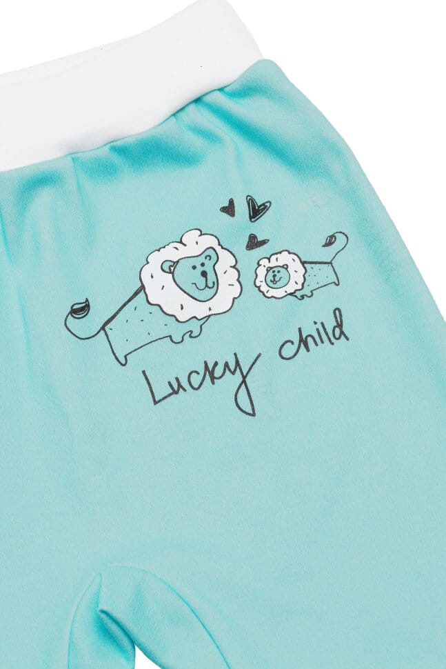 Ползунки, Львы, коллекция Зоопарк