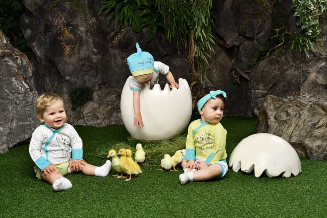 Распашонка, Львы, коллекция Зоопарк Распашонка, Львы, коллекция Зоопарк