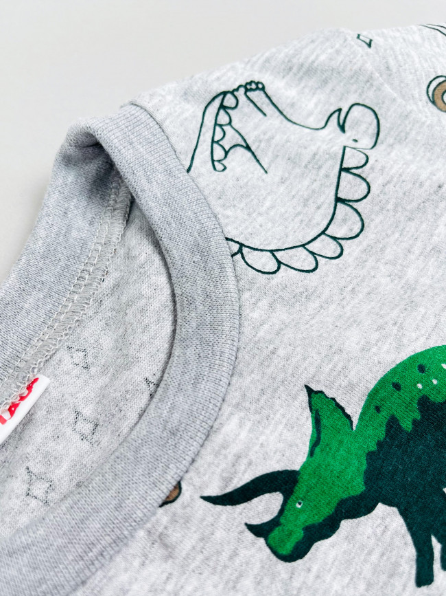 Детская футболка с коротким рукавом, Динозавры, серая