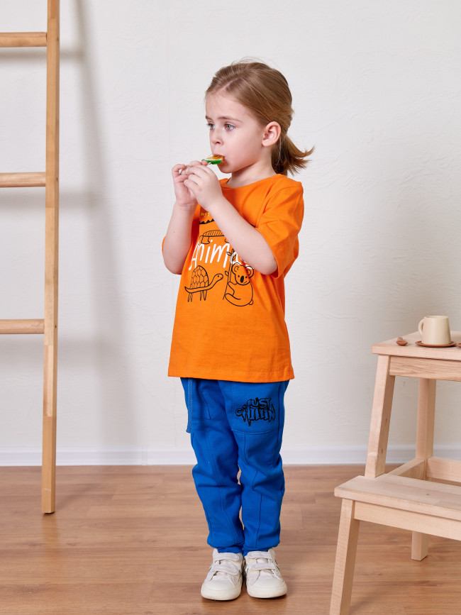 Футболка оранжевая, Animals
