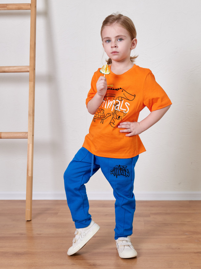 Футболка оранжевая, Animals