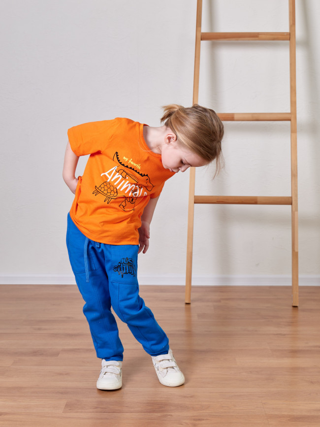 Футболка оранжевая, Animals